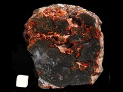 k2785