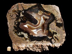 k2825