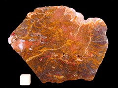 k2835