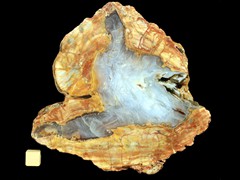 k2846