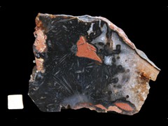 k2871