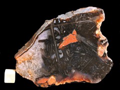 k2872
