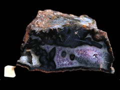 k2891