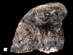 k2897