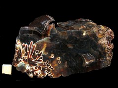 k2906