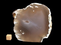 k2918