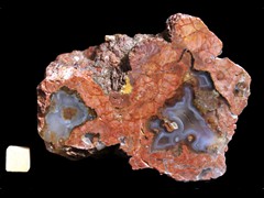 k2951