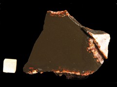 k2955