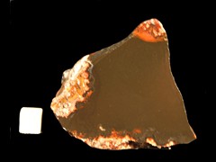 k2956