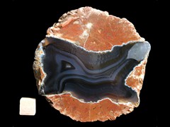 k2964