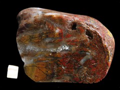 k2977