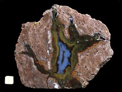 k2981