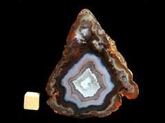 k2989