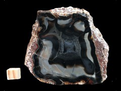 k3172
