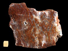 k3277