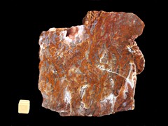 k3278