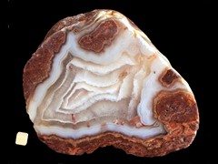 k3289