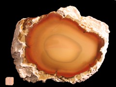 k3349