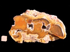 k3351