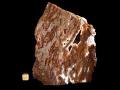 k3437