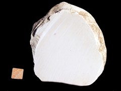 k3533