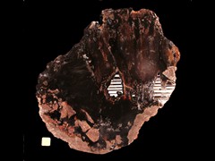 k3538