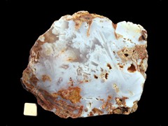 k3595