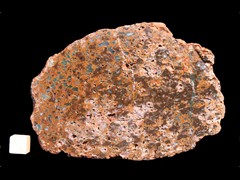 k3596
