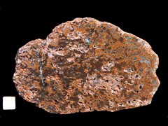 k3597