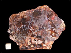 k3696