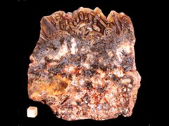 k3734