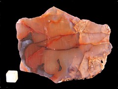 k3749