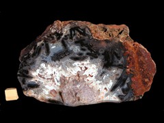 k3777