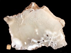 k3786