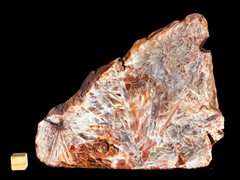 k3787