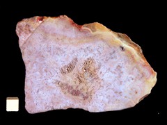 k3789