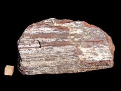 k3829