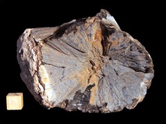 k3831
