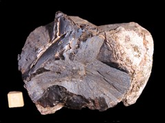 k3831-2