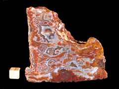 k3875