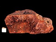 k3876