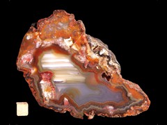 k3907