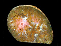 k4065