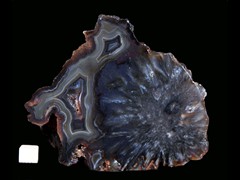 k4098