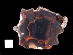k4144