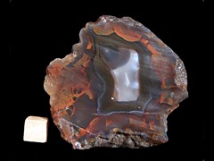 k4169