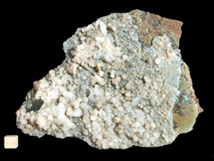 k4193