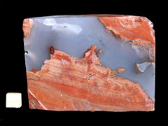 k4195