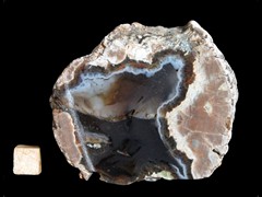 k4207