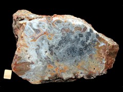 k4256